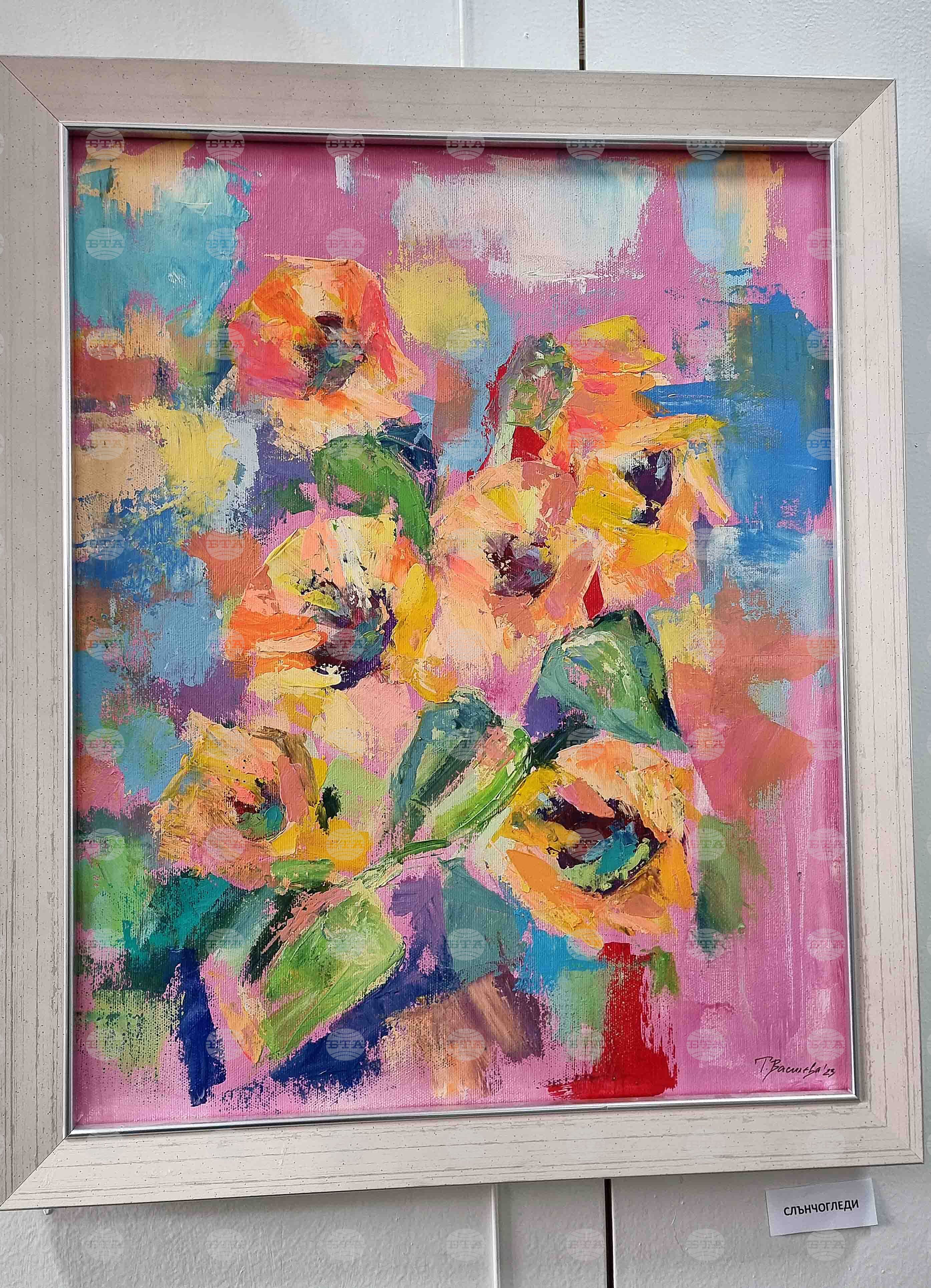 Монтана - Таня Василева - изложба