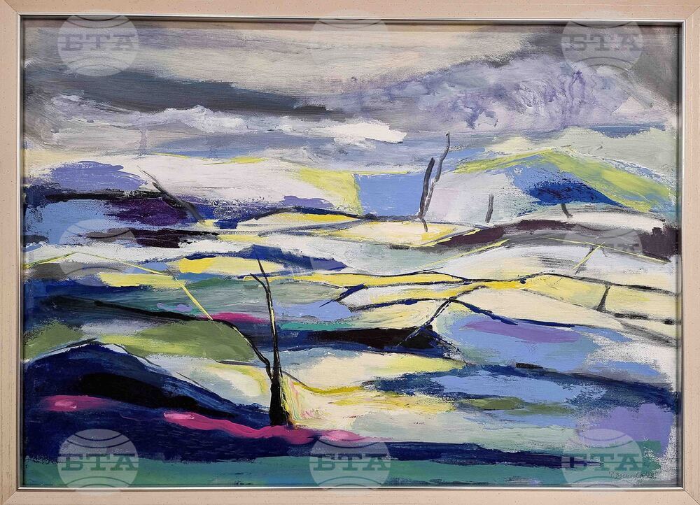 Монтана - Таня Василева - изложба