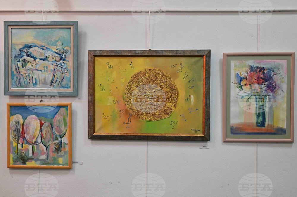 Монтана - Таня Василева - изложба