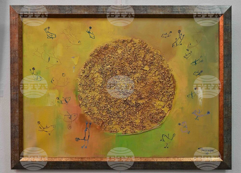 Монтана - Таня Василева - изложба