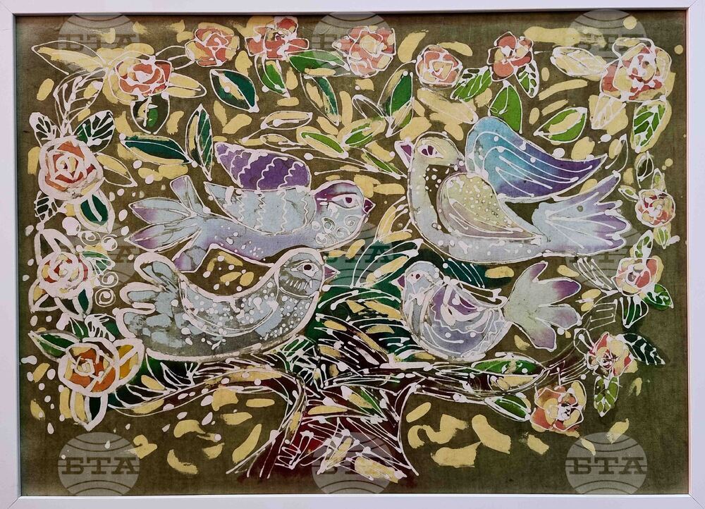 Монтана - Таня Василева - изложба