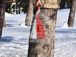 Снимка: Община Шумен