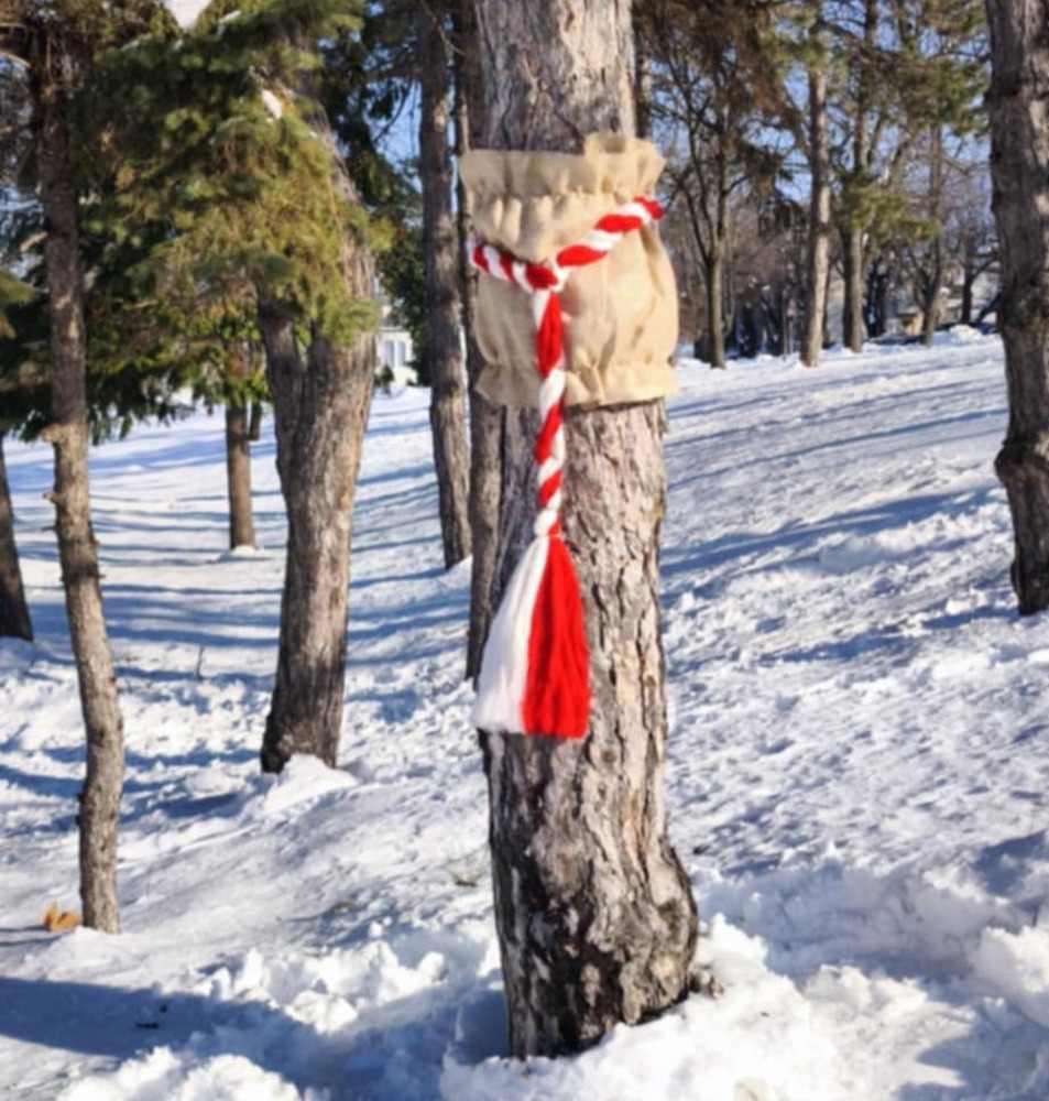 Днес в 14:00 ч. започва монтирането на украсата на Шумен за Първи март
