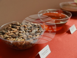 „Нестле България“ - нова производствена линия 