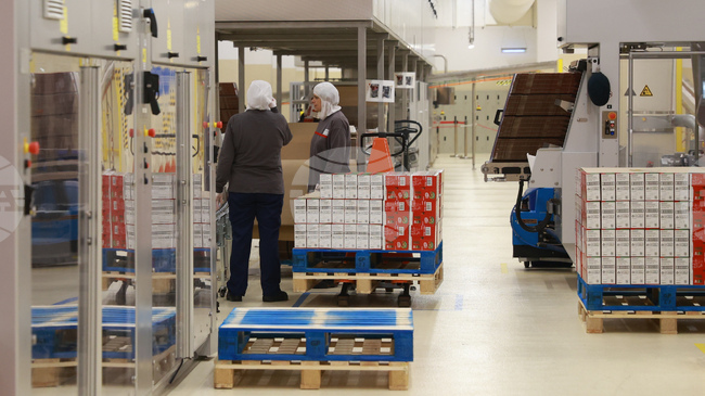 Останалите дни отпуск от 2023 г. могат да се използват до края на 2025 г., съобщи Инспекцията по труда