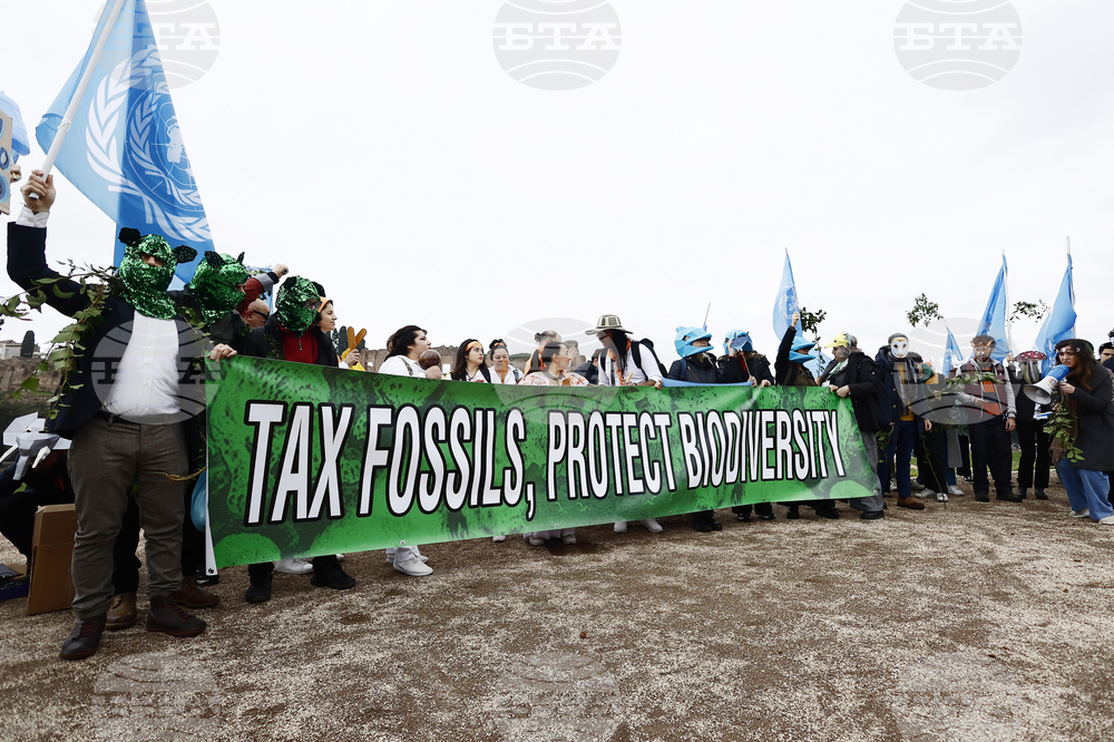 Climate COP16 Biodiversity