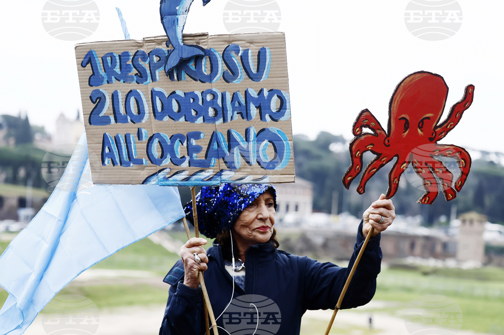 Climate COP16 Biodiversity