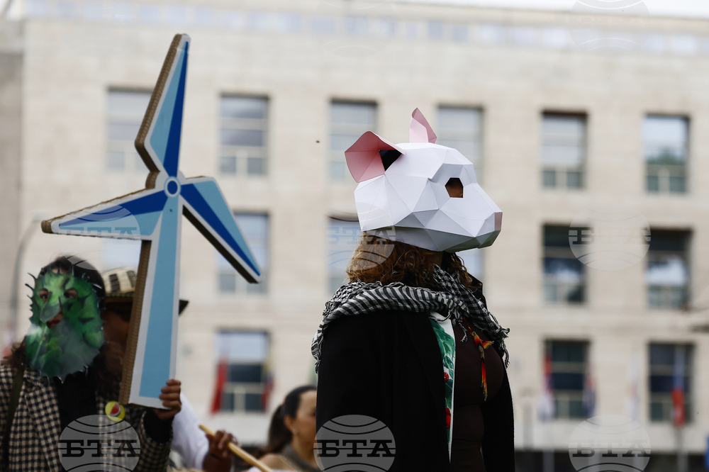 Climate COP16 Biodiversity