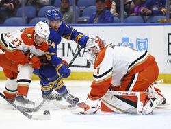Ducks Sabres Hockey