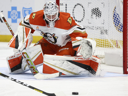 Ducks Sabres Hockey