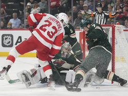 Red Wings Wild Hockey