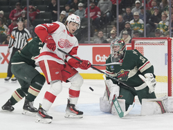 Red Wings Wild Hockey