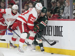 Red Wings Wild Hockey