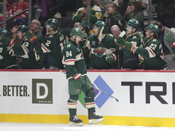 Red Wings Wild Hockey