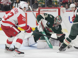 Red Wings Wild Hockey