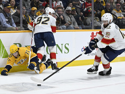 Panthers Predators Hockey