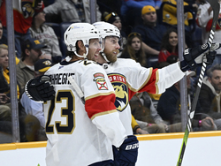 Panthers Predators Hockey