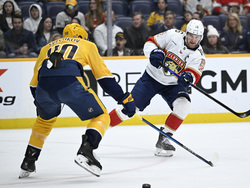 Panthers Predators Hockey