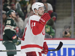 Red Wings Wild Hockey