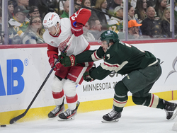Red Wings Wild Hockey