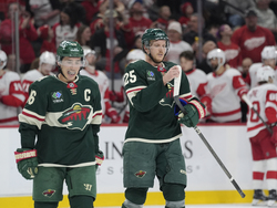 Red Wings Wild Hockey