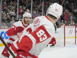 Red Wings Wild Hockey