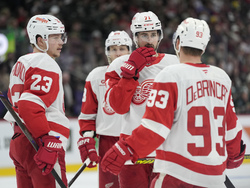 Red Wings Wild Hockey