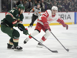 Red Wings Wild Hockey