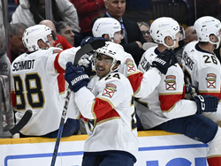 Panthers Predators Hockey