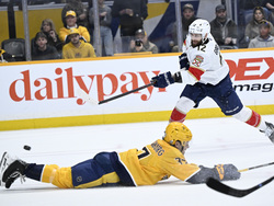 Panthers Predators Hockey