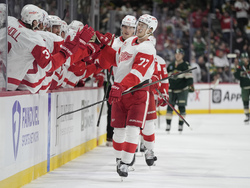 Red Wings Wild Hockey
