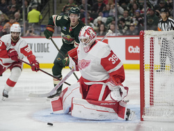 Red Wings Wild Hockey