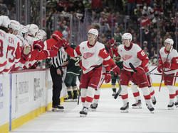 Red Wings Wild Hockey