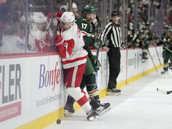 Red Wings Wild Hockey