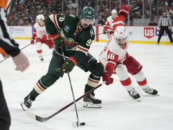 Red Wings Wild Hockey