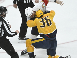 Panthers Predators Hockey