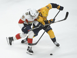 Panthers Predators Hockey