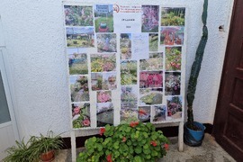 Село Островче - мартеници