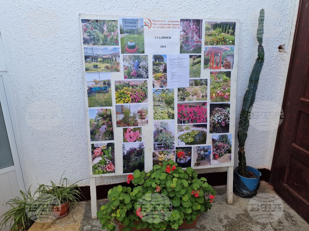 Село Островче - мартеници