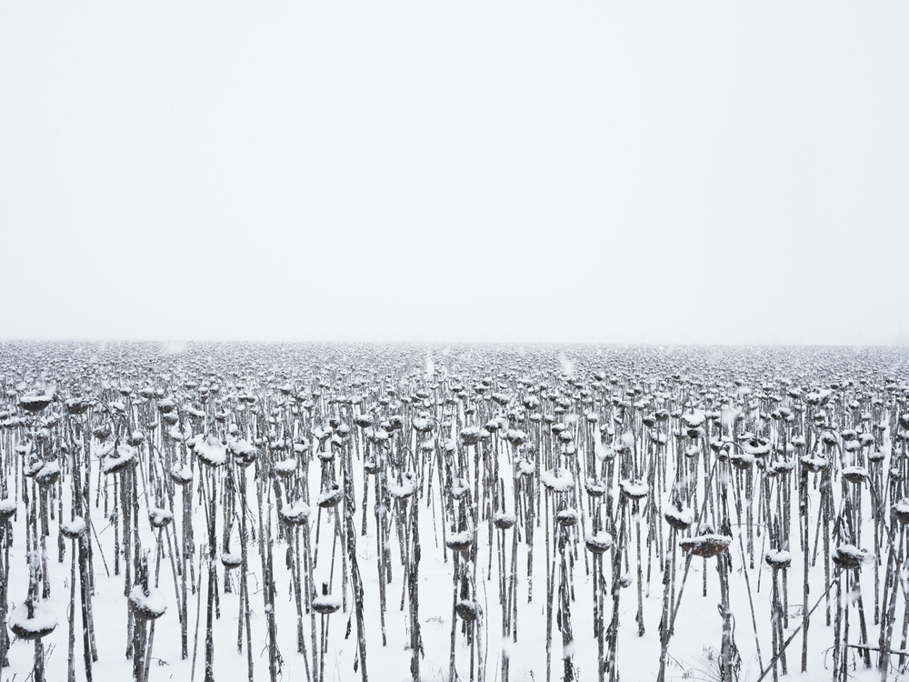 Международното фотобиенале "Фодар" ще бъде открито днес