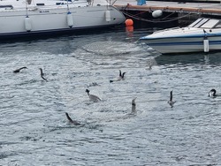 снимка: Галя Тенева
