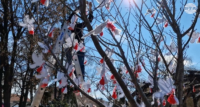 Деца от детските градини и от училищата в Самоков украсиха градския парк „Крайискърец“ с мартеници