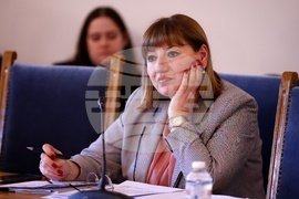 Народно събрание - Комисия по конституционни и правни въпроси - заседание
