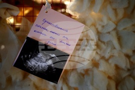 Мария Станишева - Руксандра Губернат - изложба