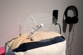 Мария Станишева - Руксандра Губернат - изложба