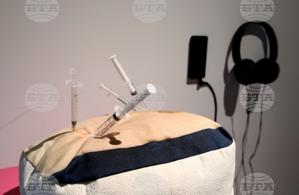 Мария Станишева - Руксандра Губернат - изложба