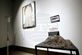 Мария Станишева - Руксандра Губернат - изложба