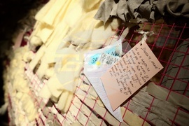 Мария Станишева - Руксандра Губернат - изложба