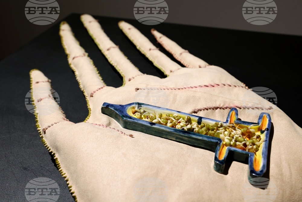 Мария Станишева - Руксандра Губернат - изложба