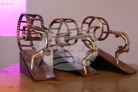 Филмов фестивал Master of Art - награди